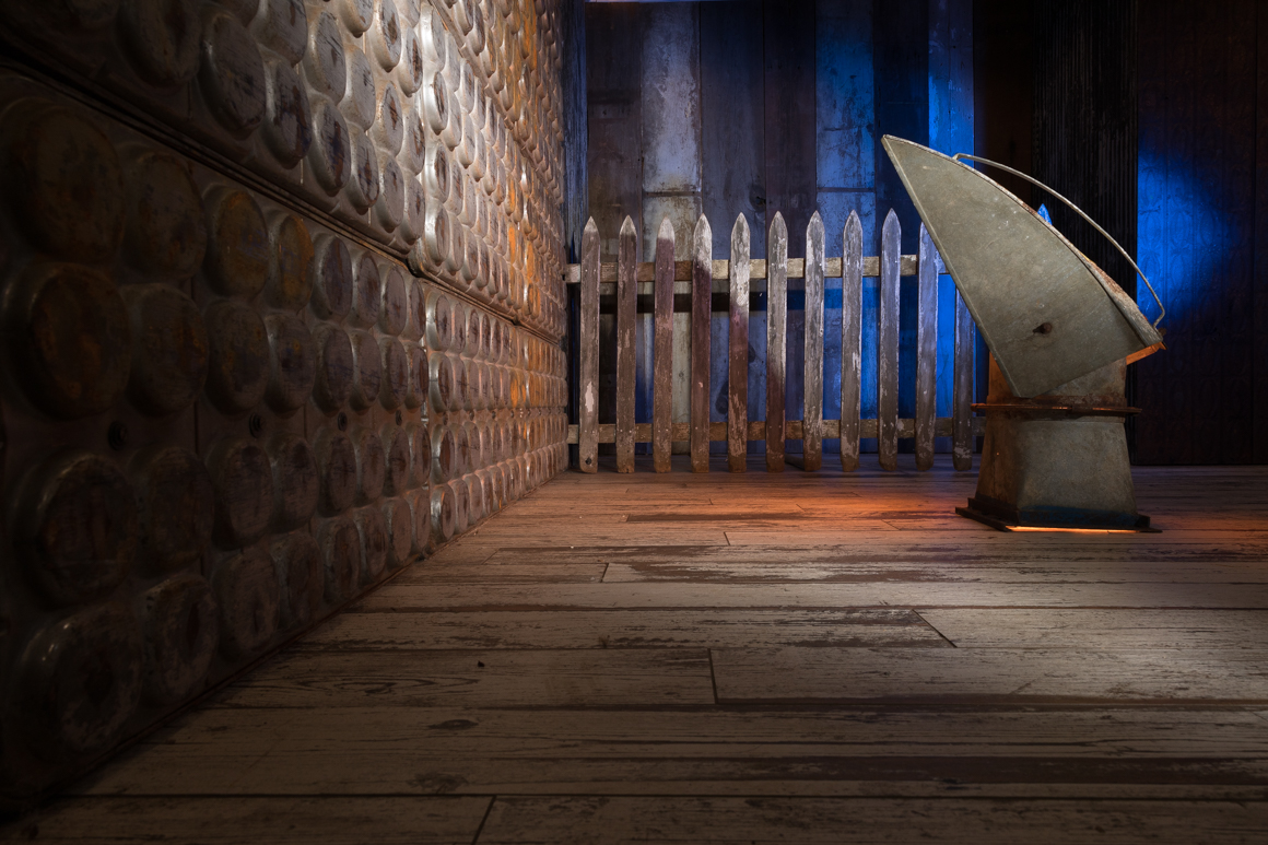 Philadelphia pet photography