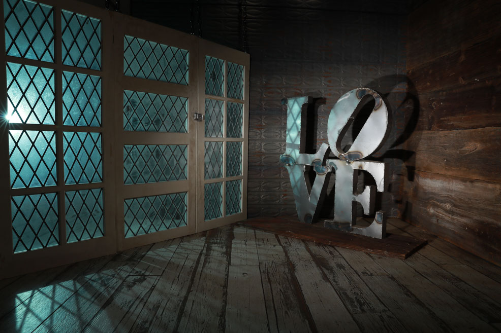 studio dog photography, philadelphia pet photographer