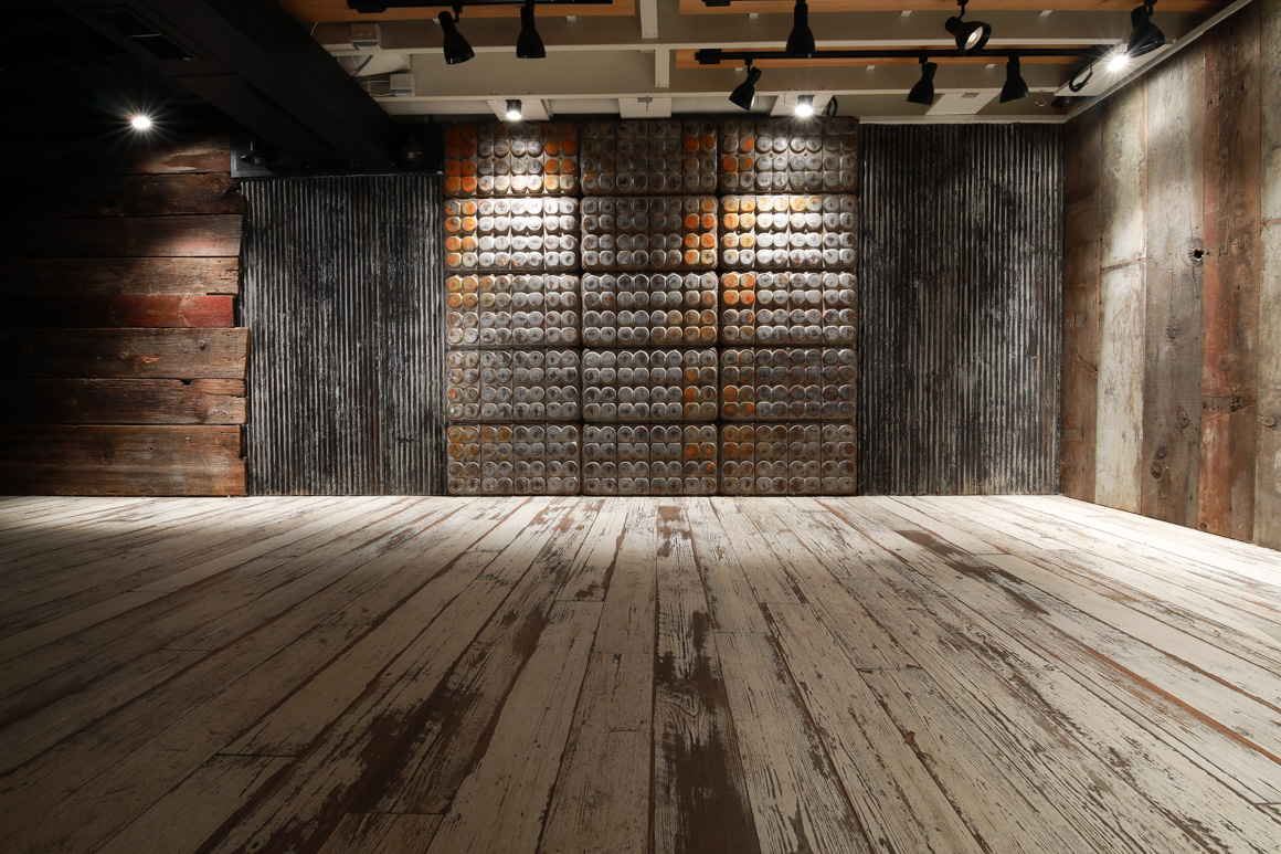 pet studio photography, Philadelphia