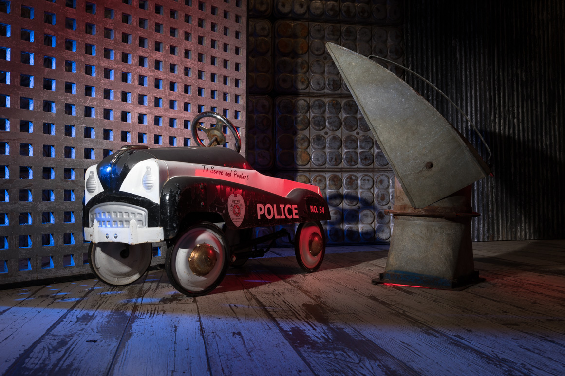 pet studio photography,philadelphia