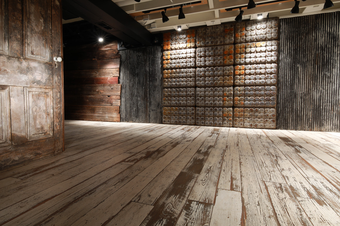 pet studio photography, Lancaster 