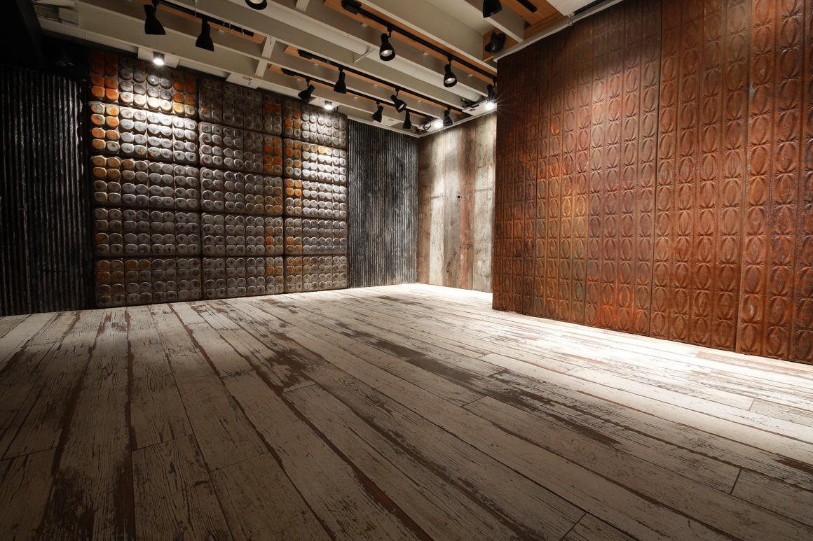 pet studio photography lighting and walls