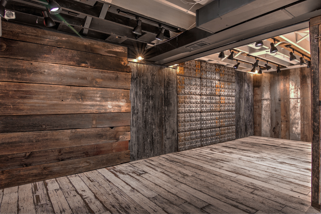 pet studio showing planked walls