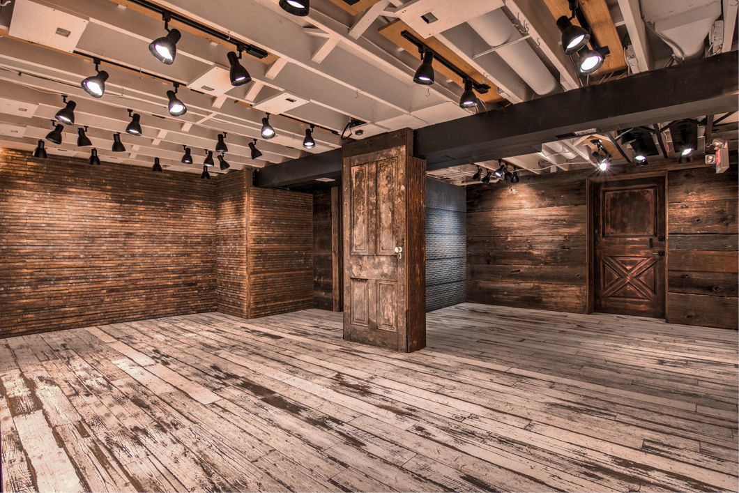 philadelphia pet photography studio