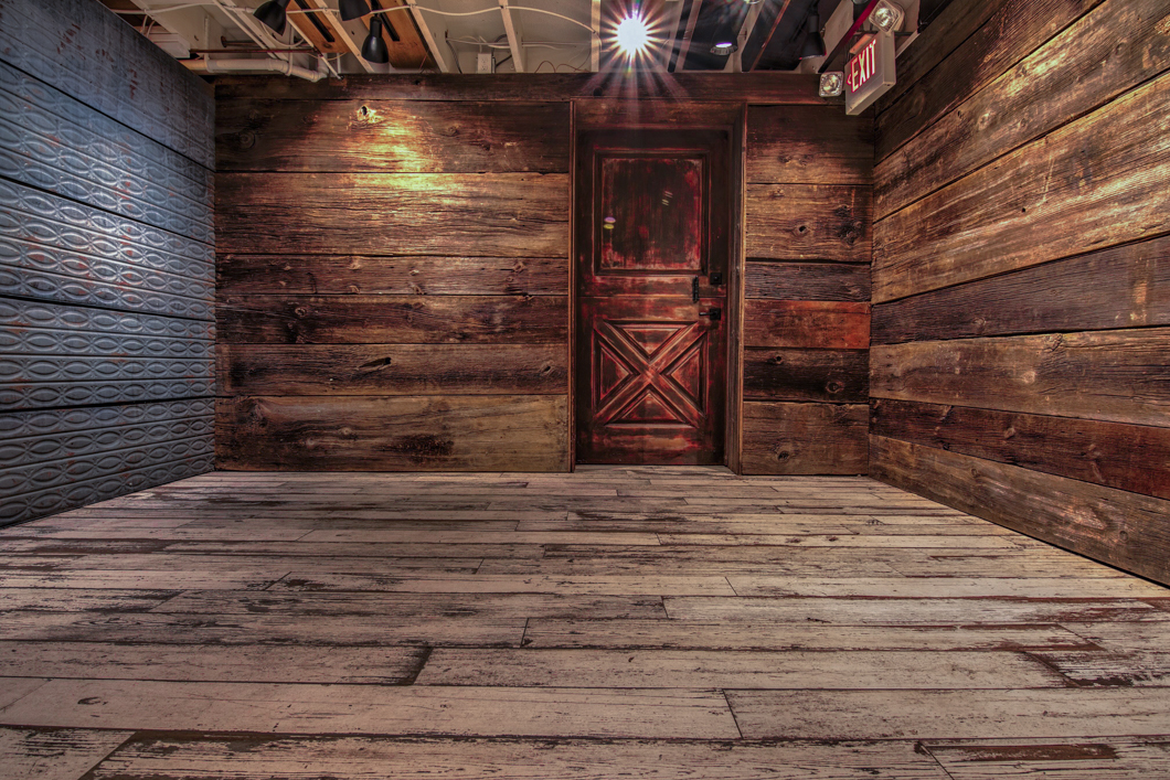 philadelphia pet photography studio